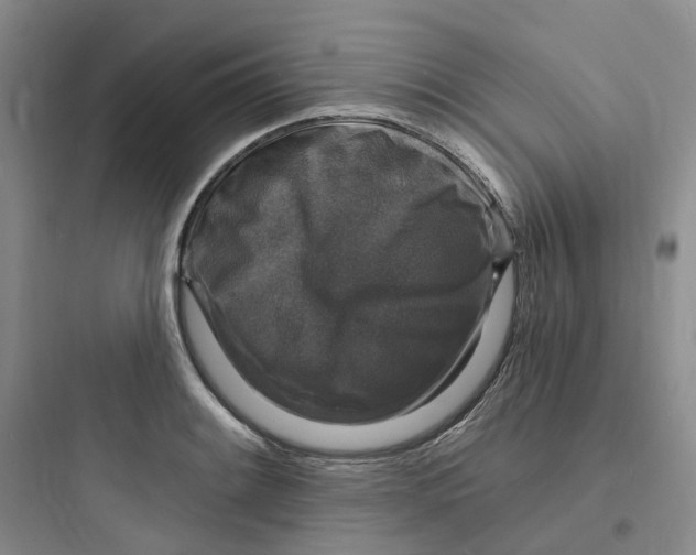 X0000097671084200803211937