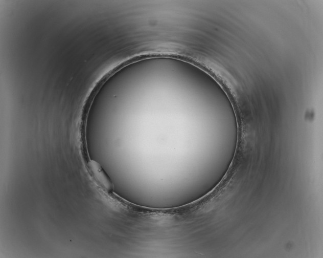 X0000097671085200803211937