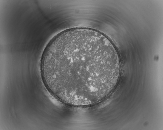 X0000097671086200803211937