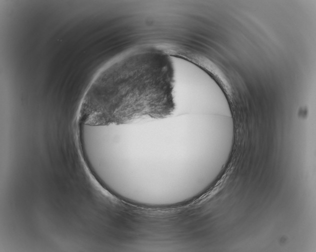 X0000097671087200803211937