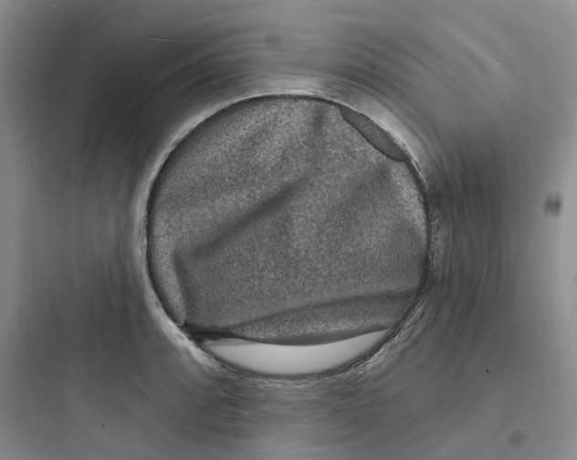 X0000097671088200803211937