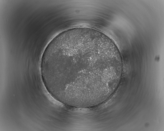 X0000097671090200803211937