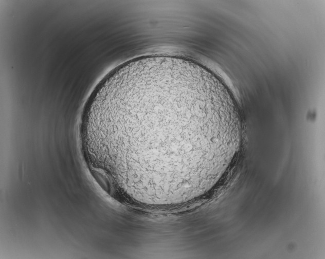 X0000097671091200803211937