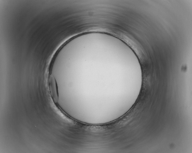 X0000097671092200803211937