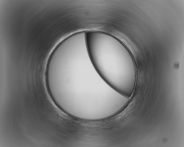 X0000097671093200803211937