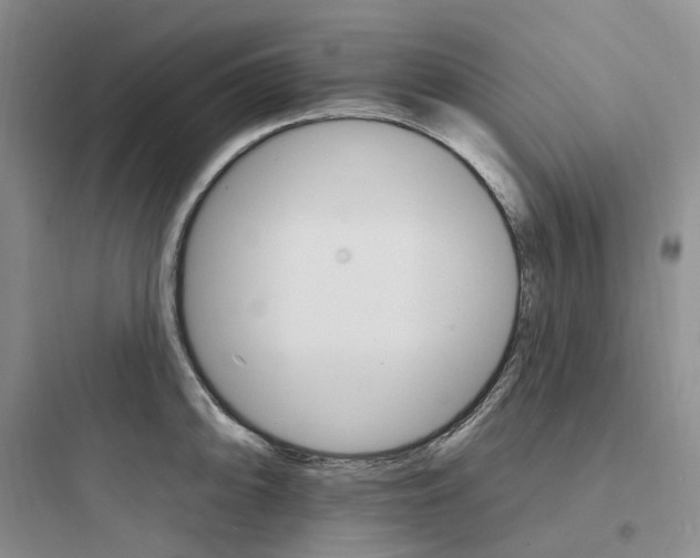 X0000097671094200803211937