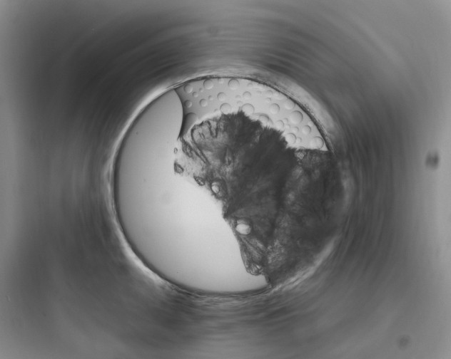 X0000097671095200803211937