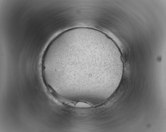 X0000097671096200803211937