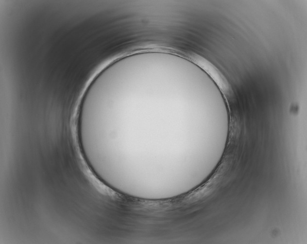 X0000097671098200803211937