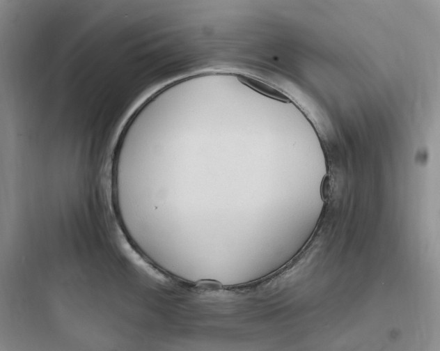 X0000097671100200803211937