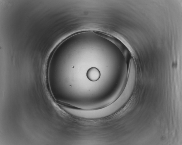 X0000097671101200803211937