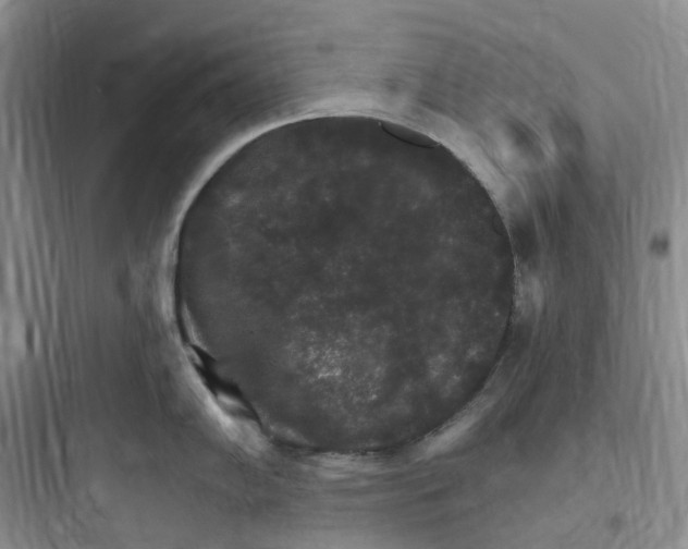 X0000097671102200803211937