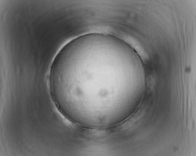 X0000097671103200803211937