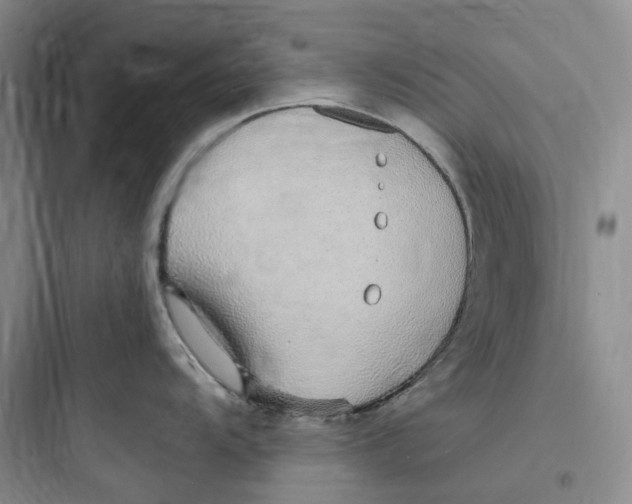 X0000097671104200803211937