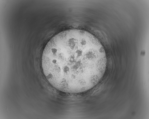 X0000097671105200803211936