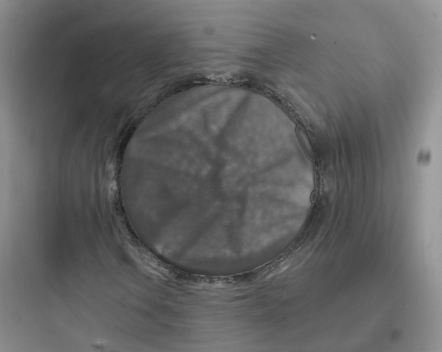 X0000097671106200803211936