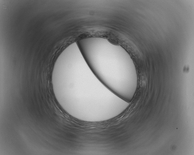 X0000097671108200803211936