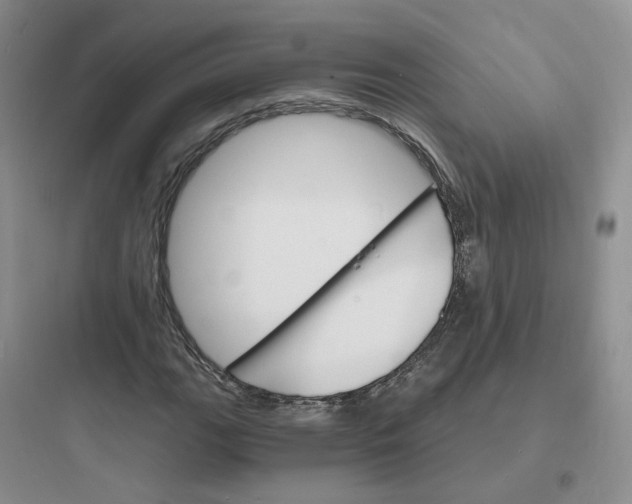 X0000097671111200803211936