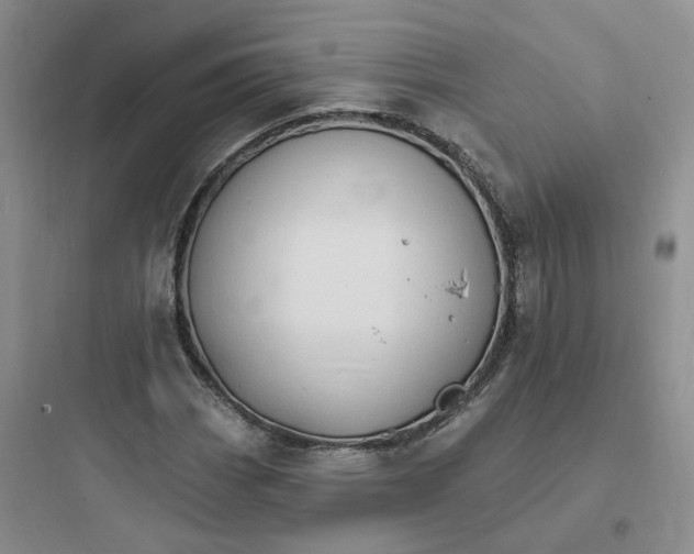 X0000097671113200803211936