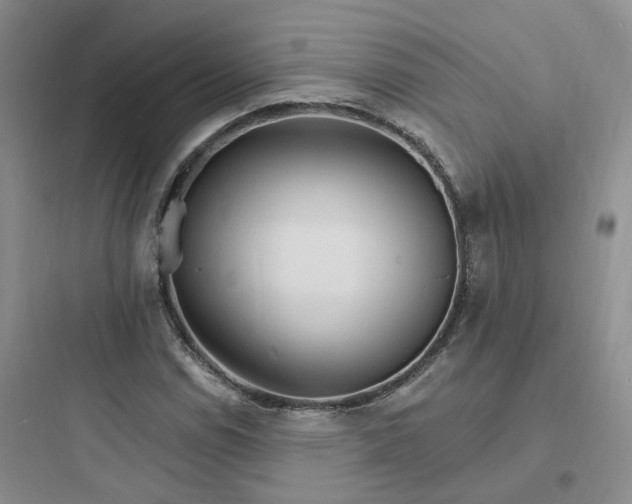 X0000097671114200803211936