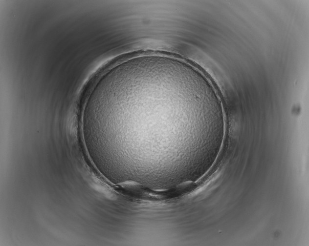 X0000097671115200803211936