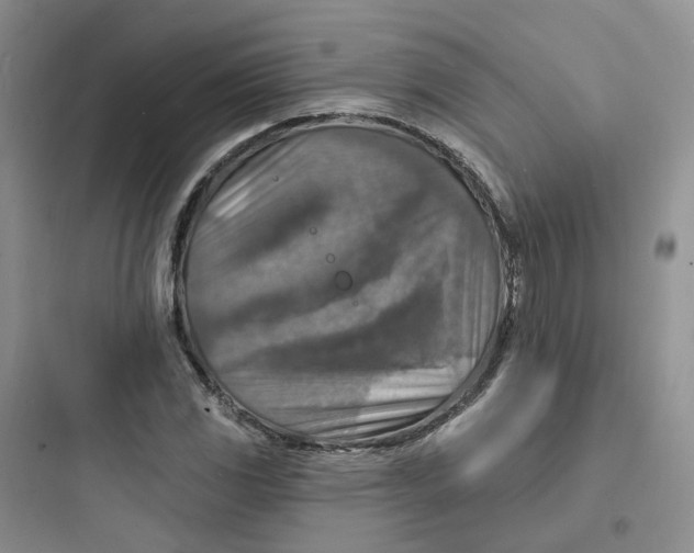 X0000097671117200803211936