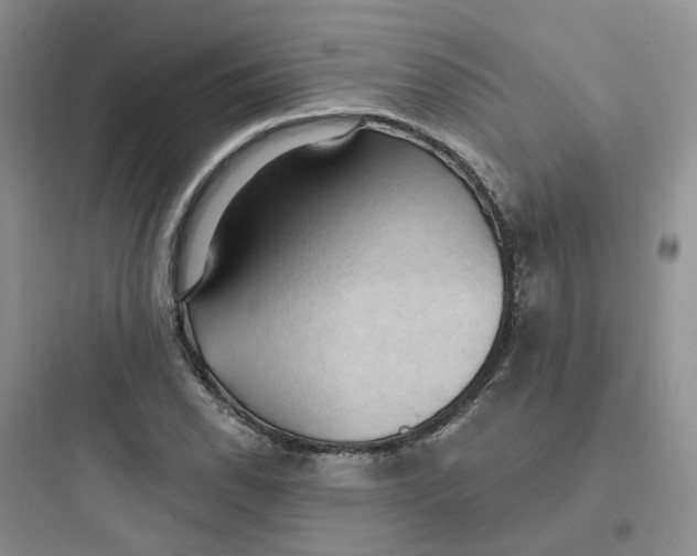 X0000097671118200803211936