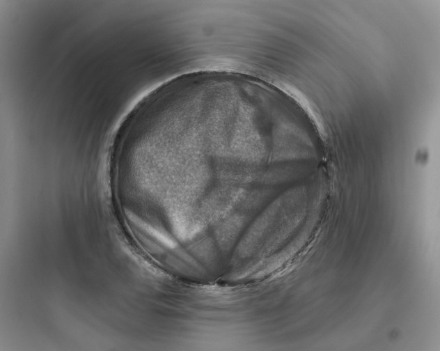 X0000097671120200803211936