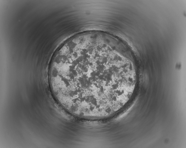 X0000097671121200803211936