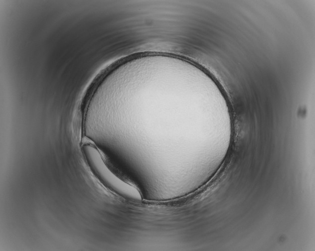 X0000097671123200803211936