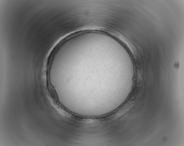 X0000097671124200803211936