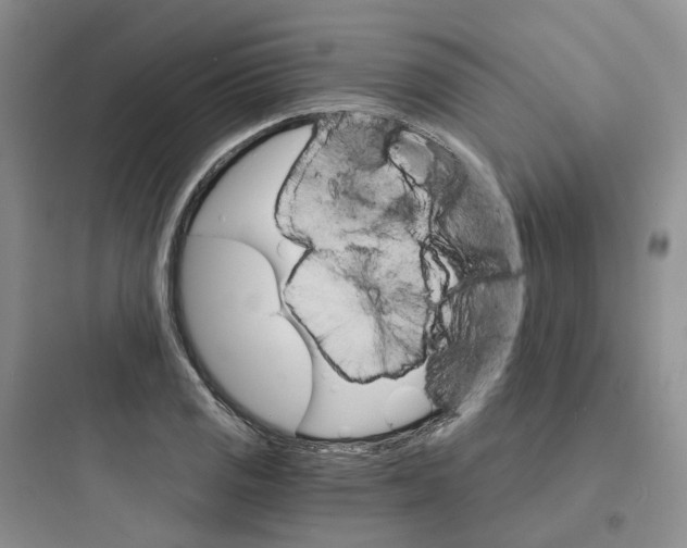 X0000097671125200803211936