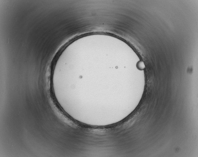 X0000097671126200803211936