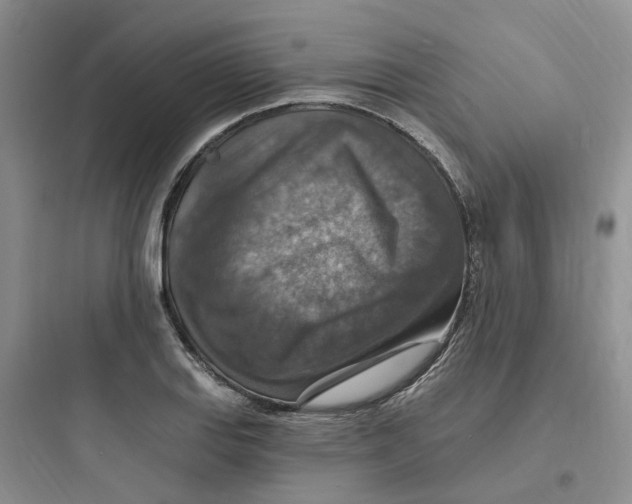 X0000097671127200803211936