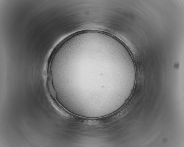 X0000097671128200803211936