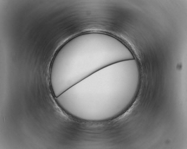 X0000097671129200803211936