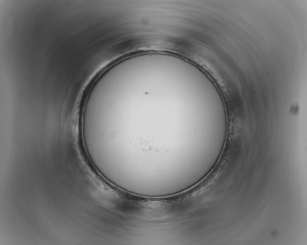 X0000097671130200803211936