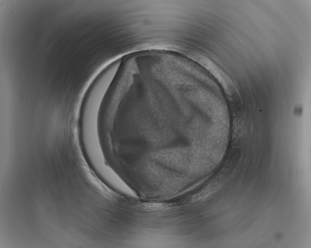 X0000097671132200803211937