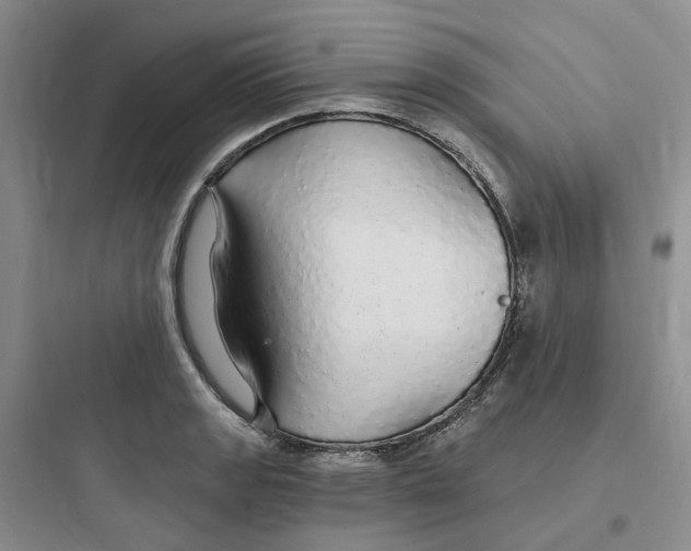 X0000097671133200803211937