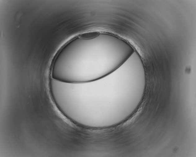 X0000097671134200803211937