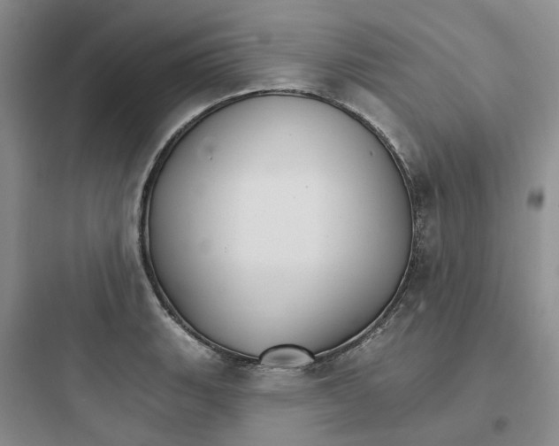 X0000097671135200803211937