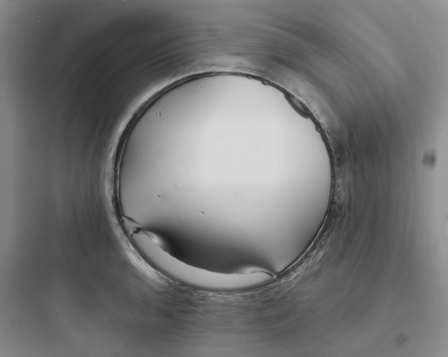 X0000097671136200803211937