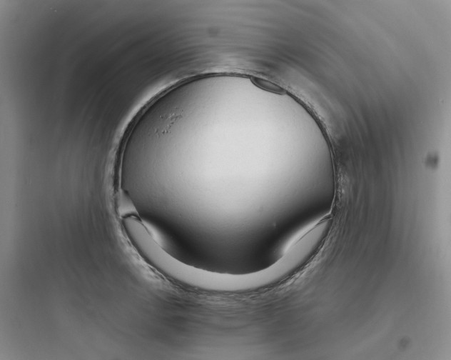 X0000097671138200803211937