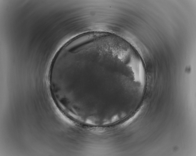 X0000097671141200803211937