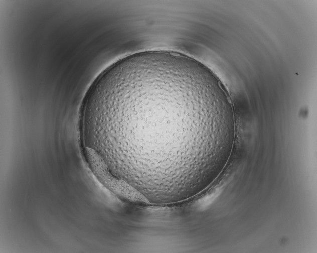 X0000097671142200803211937