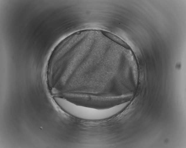 X0000097671144200803211937