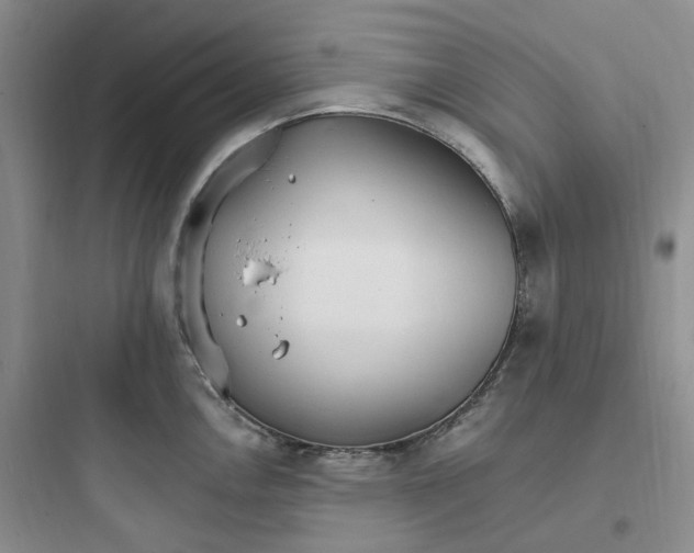 X0000097671146200803211937