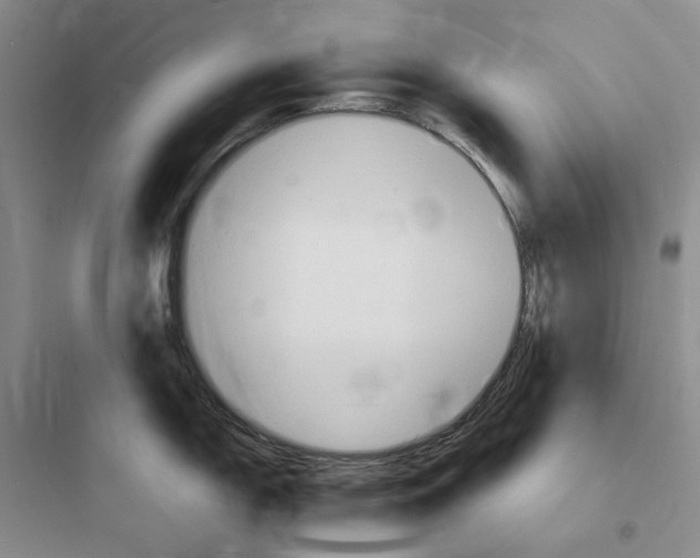 X0000097671150200803211937