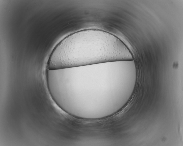 X0000097671151200803211937