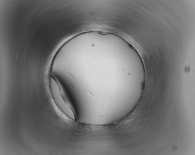 X0000097671152200803211937